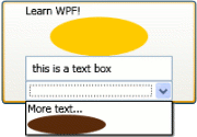 a button, with some text, an eillipse, text box and combo box contained inside it