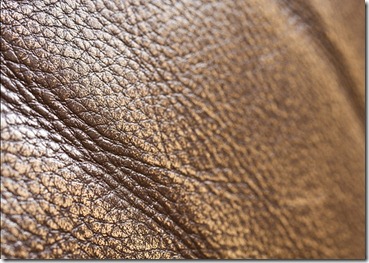 leather_texture